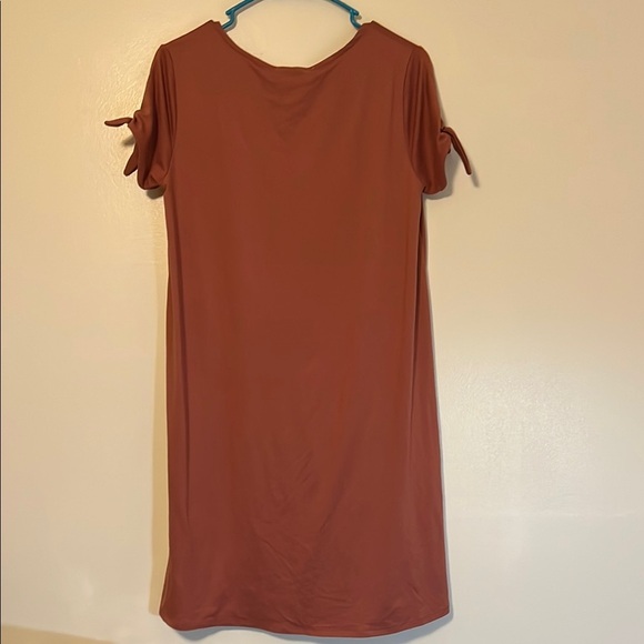 Pink Rose Rust Dress with Tie Sleeves size small. Color is ginger root. New - Picture 6 of 6